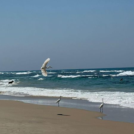 Go To Apartments In Leonardo Bat Yam Exteriör bild